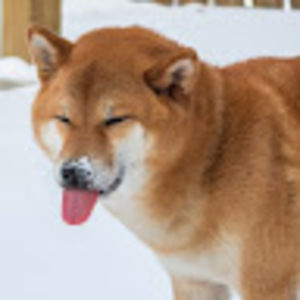 Meet your Posher, Shteve